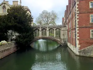 Cambridge Dieta Cena